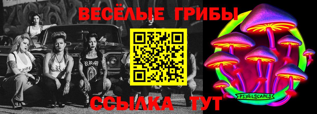 Галлюциногенные грибы Cubensis Наро-Фоминск