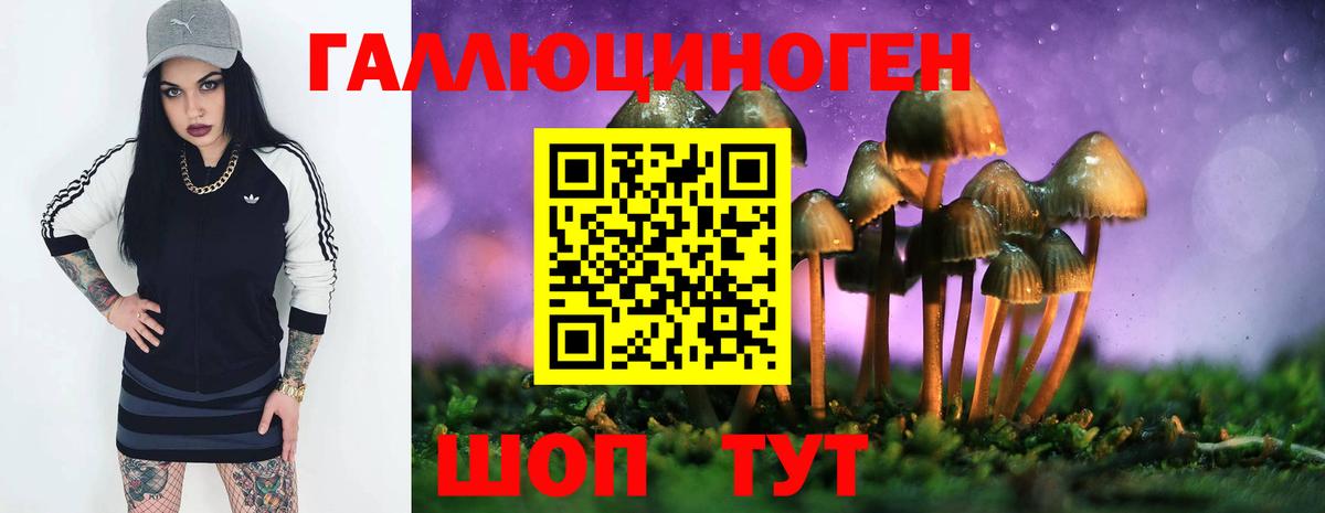 Наро-Фоминск  Псилоцибиновые грибы Cubensis  Вход с VPN 